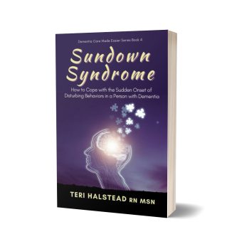 Sundown Syndrome ebook cover image